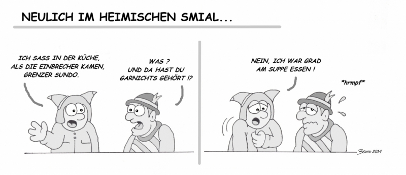 einbruchsmial