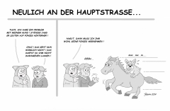ponyhund
