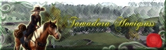 Tami Banner