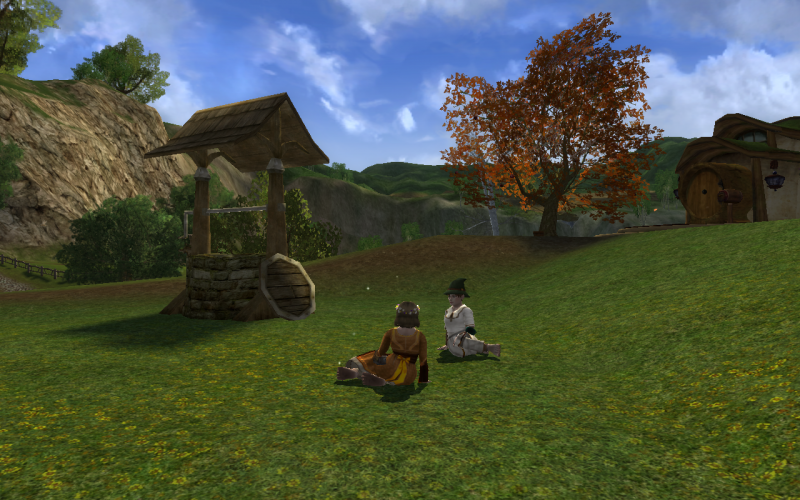 Grillen bei und mit Tulpi