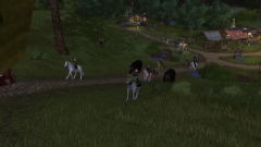 8. Jähriges Jubiläumsfest des Stammtisches