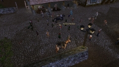 8. Jähriges Jubiläumsfest des Stammtisches